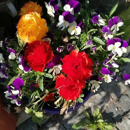 Nad Parseta Lägenhet Kołobrzeg